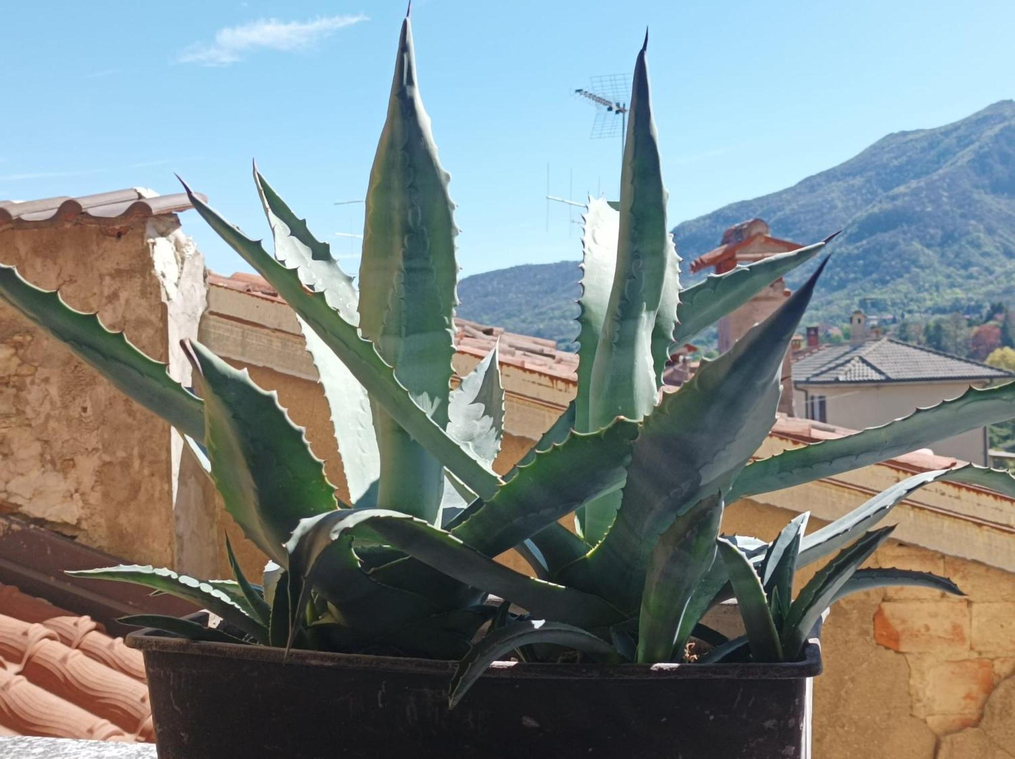 Bed And Breakfast Da Pio Castello  Exterior photo